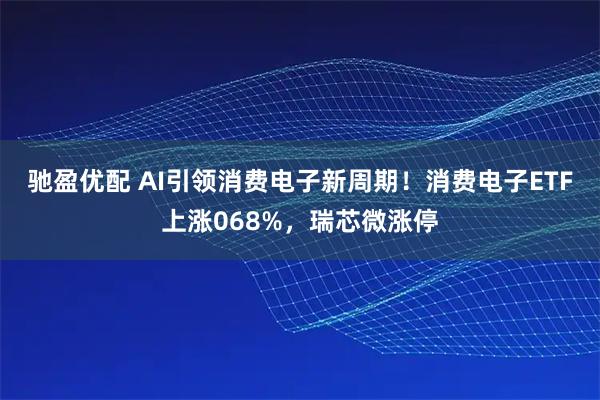 驰盈优配 AI引领消费电子新周期！消费电子ETF上涨068%，瑞芯微涨停