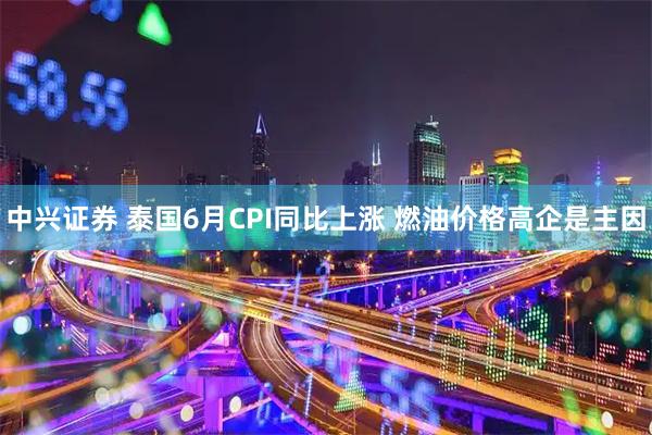 中兴证券 泰国6月CPI同比上涨 燃油价格高企是主因